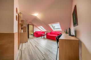 Veliki Garni Hotel - Novi Sad - 6