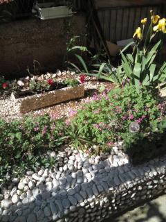 Apartmani Isabella - Makarska - 4