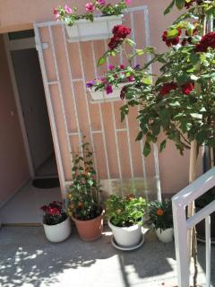 Apartmani Isabella - 5