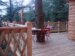 Cabane Écureuil & Cabane Chevreuil - 8