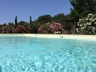 Agriturismo Lupo Vecchio - Grosseto - 6