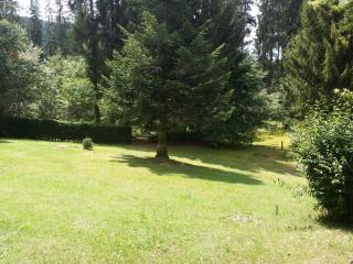 Schwarzwald - Villa Appartments Titisee - Titisee-Neustadt - 2