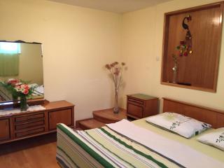 Apartment Popona - 9