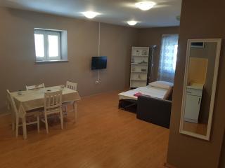 Apartment Central - Šibenik - 1