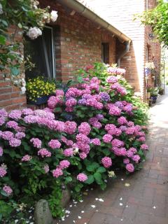 Landhaus-Nordseekueste - 6