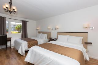 Motel au Fleuve d'Argent - Rivière-du-Loup - 3