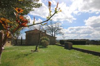 Agriturismo Poggio Bonelli - Castelnuovo Berardenga - 5