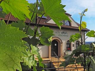 Hotel Vinohrad - Milotice - 0