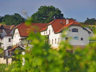 Hotel Vinohrad - Milotice - 9