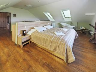 Hotel Vinohrad - Milotice - 2