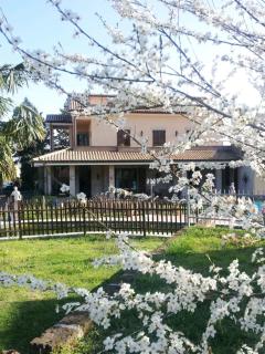 Luconi Affittacamere - 7