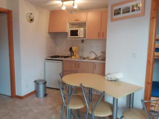 STUDIO entre ciel et Lac - Thollon-les-Mémises - 6