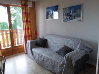 STUDIO entre ciel et Lac - Thollon-les-Mémises - 0