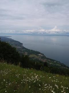 STUDIO entre ciel et Lac - Thollon-les-Mémises - 9