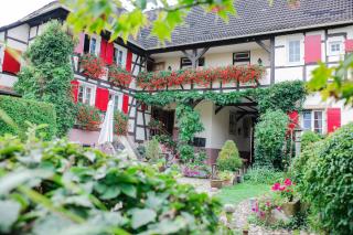 Hotel de Charme 'zum Schiff' - Iffezheim - 0