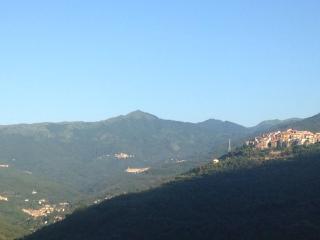 vacanza tra gli ulivi - Chiusanico - 1
