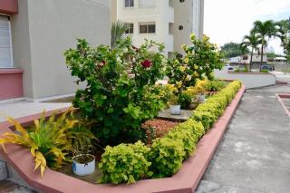 Playa Almendro Resort - 4