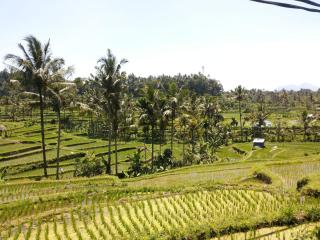 Pondok Indah Homestay - Sidemen - 2