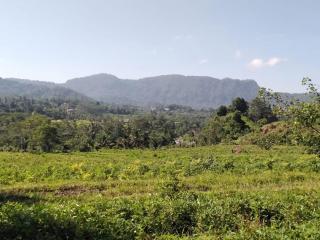 Pondok Indah Homestay - 3