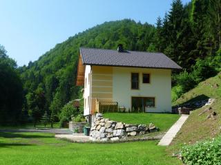 Gästehaus Forstner - Loich - 7