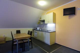 Apartmány Sport with Garage - Rokytnice nad Jizerou - 3