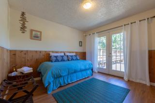 Coastal Conifer Hideaway - 1