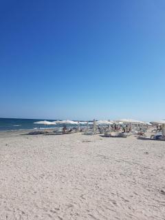 MG Apartments Mamaia Nord - 1