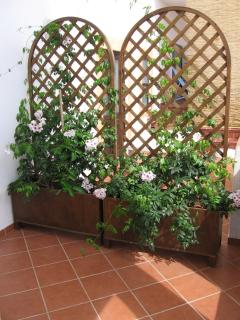 Casa Nonna Rosa - 2