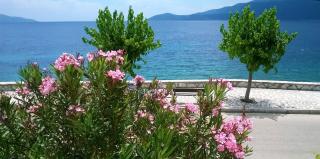 Vintage House - Agia Effimia - 8