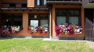 Multiproprietà Rio Falzè - Madonna di Campiglio - 7