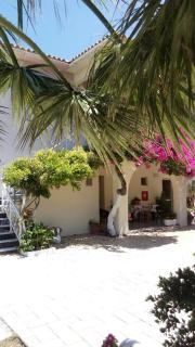 Canditas Studios - Tsilivi - 8