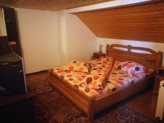 Pensiunea Remus - Novaci-Străini - 2