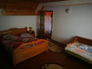 Pensiunea Remus - Novaci-Străini - 6