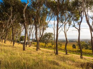 Shadow Creek McLaren Vale - McLaren Vale - 5