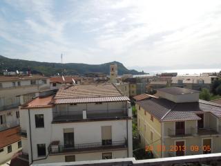 Delfino - Marina di Camerota - 1