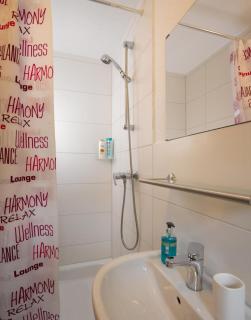 1-Zimmer-Apartment Heßdorf - Heßdorf - 4