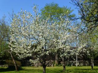 Jurna Recreation Farm - Upa - 4