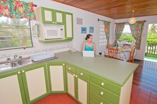 Lance Aux Epines Cottages - 4