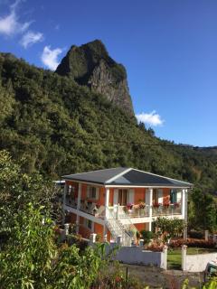 Les Begonias - Cilaos - 6