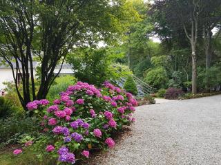 La Canopée des Pins - Cléder - 9