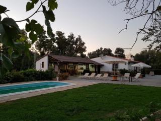 Casa Rural Vega el Dorado - San Pablo - 5