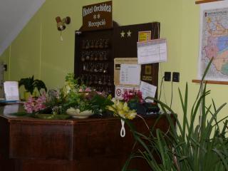 Hotel Orchidea - Balástya - 2