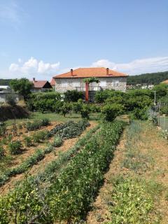 Apartman Stipe - Jelsa - 1