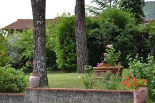 B&B Villa Il Poggiolino - Molino del Piano - 4