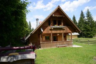 POČITNIŠKA HIŠA JURČEK POKLJUKA - Goreljek - 9