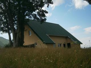 Wolf Apartment - Žabljak - 8