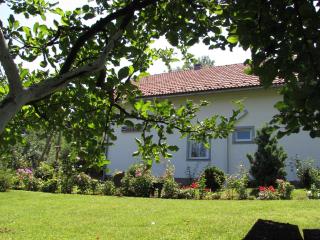 Apartment Špehar - Selište Drežničko - 4