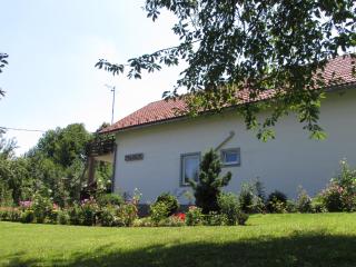 Apartment Špehar - Selište Drežničko - 3