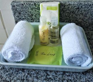 Alameda Cariari Boutique Hotel - San José - 6