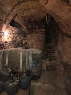 Calao de Cuatro Copas - 4